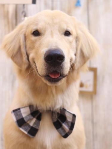 20241020タックくん